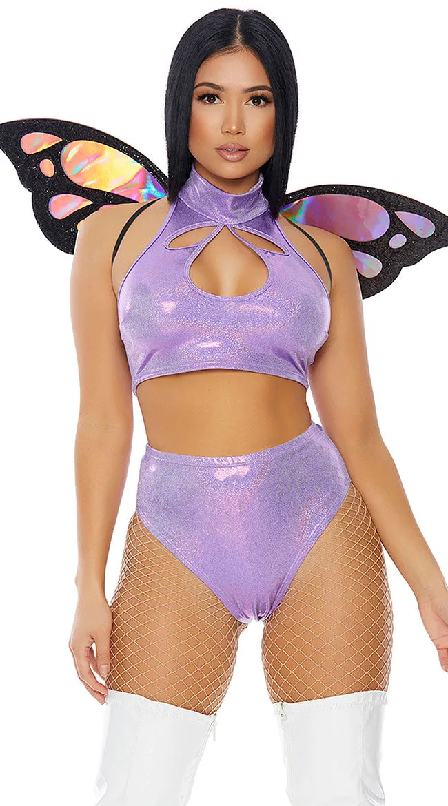 Iridescent Butterfly Wings